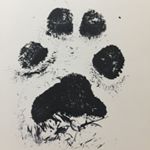 Profile Picture of Alexander Massey (@drumsnack18) on Instagram