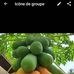 Profile Picture of James Alphonse (@james.alphonse.5268) on Facebook
