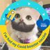 Profile Picture of Daniel Sievers (@daniel.sievers.338) on Facebook