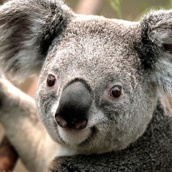 Profile Picture of Kadijah Mcclinton (@dijahbabii) on Poshmark