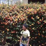 Profile Picture of jeremy kapalay (@milkyhoney3000) on Instagram