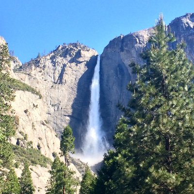 Profile Picture of 于祚 (@JeremyYu15) on Twitter