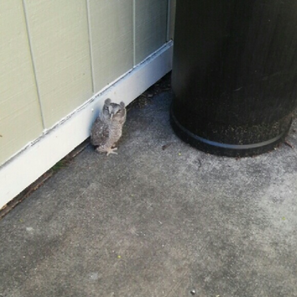 Profile Picture of Jamie Graczyk (@627jamie) on Poshmark