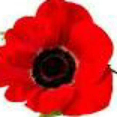 Profile Picture of Sharron Wilson (@sharronjwilson) on Twitter