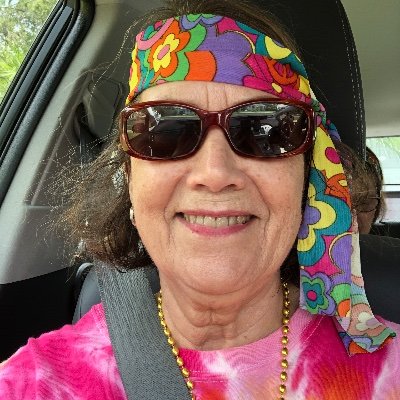 Profile Picture of Linda Royer (@LindaRoyer19) on Twitter