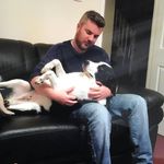 Paul Binks - Instagram Profile Picture of Paul Binks (@binksy_147) on Instagram