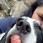 Profile Picture of Faye~Eleanor (@fayeebibbyy) on Instagram