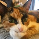 Profile Picture of Delphine Caron (@Delphine-Caron) on Facebook