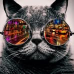 Profile Picture of Benjamin Durieu (@Benjamin-Durieu) on Facebook