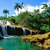 Profile Picture of Paul Nave (@pxyz3927) on Youtube