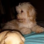 Profile Picture of Donny Berdugo Cabrera (@donnyberdugo) on Instagram