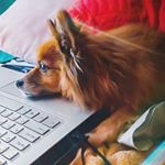 Profile Picture of Patrick briley (@prospectivephotography) on Instagram