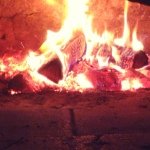 Profile Picture of Corey Cannon (@4cannonkids) on Instagram