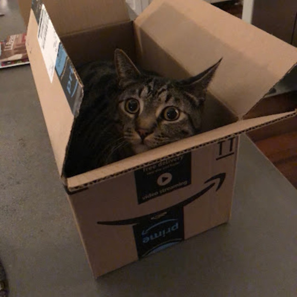 Profile Picture of Eli Murphy (@elimurphy132) on Poshmark