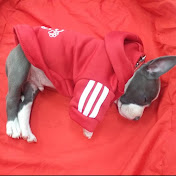 Profile Picture of Joseph Lazo (@josephlazo5094) on Youtube