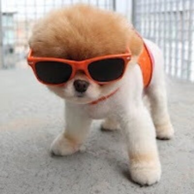 Profile Picture of Alexa Mickey Valenti (@AlexaMickeyvale) on Twitter