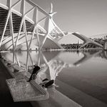 Profile Picture of Dustin Reyes (@jean_patrick.ponsard) on Instagram