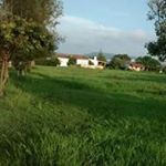 Profile Picture of Bertha Velarde Velazquez (@velardevelazquez) on Instagram