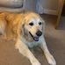 Profile Picture of Simon Read (@simon.read.351) on Facebook