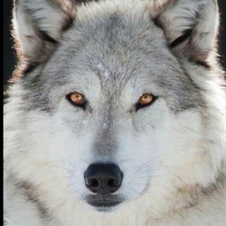 Profile Picture of Claudio Casanova (@claudio.casanova.1610) on Facebook