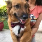 Profile Picture of Alicia Depetris (@aliciamargarita.depetris) on Facebook