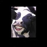 Profile Picture of Lee Gregory (@360966531) on Myspace