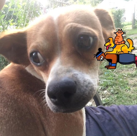 Profile Picture of Juan Barrera (@aragnido) on Poshmark