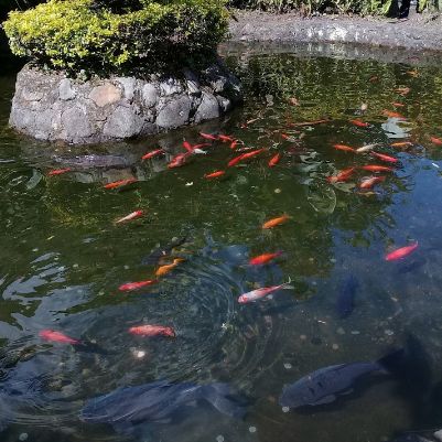 Raul Bastidas - Tiktok Profile Picture of Raul Bastidas (@user820189756) on Tiktok