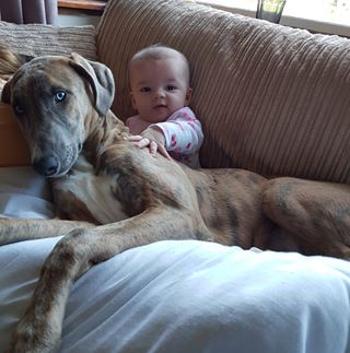 Profile Picture of Adam Williams (@Adam-Williams) on Facebook