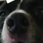 Dustin Wilds - Facebook Profile Picture of Dustin Wilds (@dustin.wilds.9) on Facebook