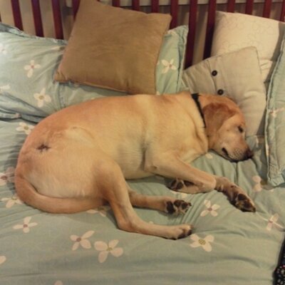 Profile Picture of Mike Walkinshaw (@talk_to_walk) on Twitter