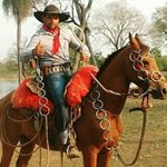 Profile Picture of Daniel Rocha (@daniel_bisporocha) on Instagram