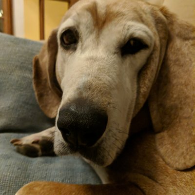 Profile Picture of Joe Kington (@joferkington) on Twitter