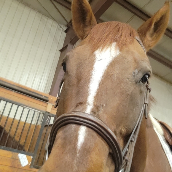 Profile Picture of Hailee Korell (@haileekorell) on Poshmark