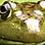 Profile Picture of Bob Biggs (@starsharkprime) on Flickr