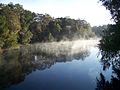 Profile Picture of Santa Fe River (Florida)on Wikipedia