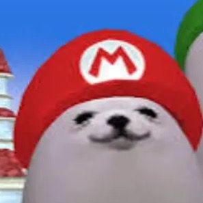 Profile Picture of Scotland (@mescott) on Tiktok