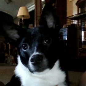 Michaella Scherschel - Pinterest Profile Picture of Michaella Scherschel (@michaellascherschel) on Pinterest