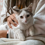 Profile Picture of Stephanie Hyland (@stephaniehyland5931) on Youtube