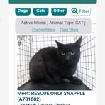 Profile Picture of Althea Morrow (@Althea-Morrow) on Facebook