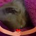 Profile Picture of Kevin Calixto (@kevin.calixto.1238) on Facebook