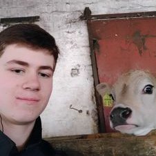 Profile Picture of Marc (@marc_wiesner) on Twitter