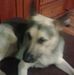 Profile Picture of Lucas Mitchell (@lucas.mitchell.92754) on Facebook
