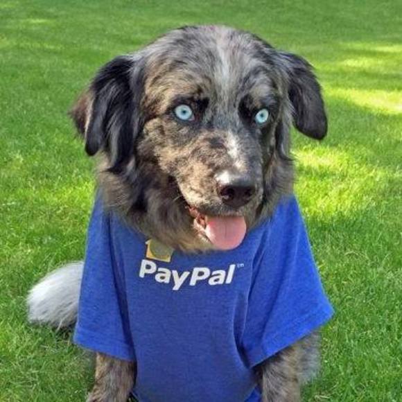 Tammy Carlson leonetti - Poshmark Profile Picture of Tammy Carlson leonetti (@bookersclub) on Poshmark