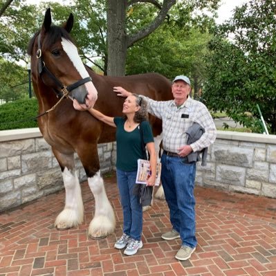 Profile Picture of Nancy Carpenter (@NancyCa62068555) on Twitter