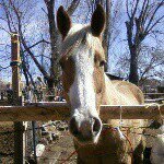 Profile Picture of Kylee Kramer (@kyleekramer97) on Instagram