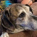 Profile Picture of Christopher Friedman (@cfriedman79) on Instagram