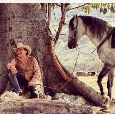 Profile Picture of Alexandra Madrigal (@ninnyricardez) on Twitter