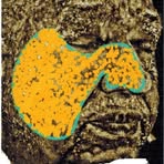 Profile Picture of Edward Senkus (@edward.senkus) on Facebook