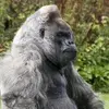 Profile Picture of petergaffney58 (@petergaffney58) on Tiktok